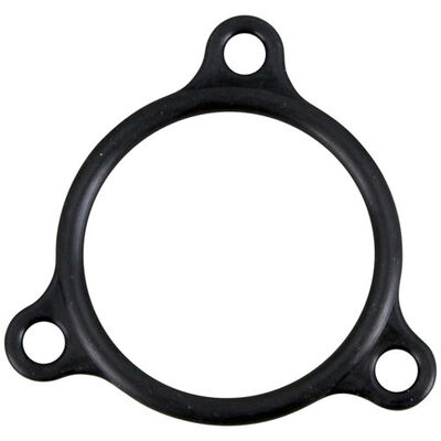 Champion 109985 Dishwasher Electric Heater O-Ring Seal
