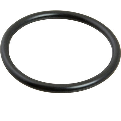 Sloan H553 Sloan O Ring For Tail Piece