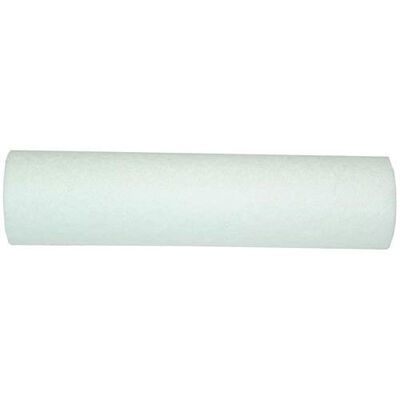 Rheem RHM9534-40 EC110 10" Water Filter Cartridge