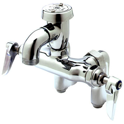 T&S Brass B0669RGH Service Faucet, W/Vacbkr,Ada