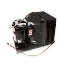 TRUE 874535 Condensing Unit 1/2HP 115V 134 GDM 69/72 AK169AH
