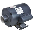 Frymaster 17262 1 PH Fryer Filter Motor, 1/3 HP, 50/60 HZ