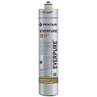 Everpure 9612-50 BH Water Filter Cartridge, 1/2 Micron Rated, 3,000 GPM