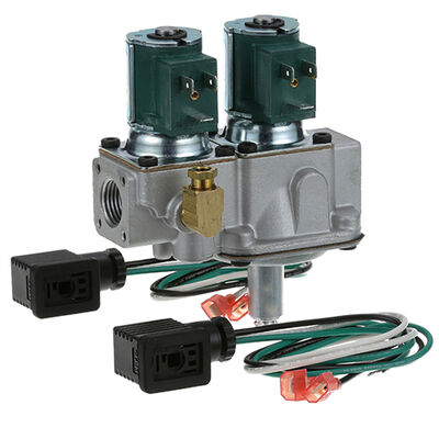 Johnson Controls G96HGH-5 Dual Gas Solenoid Valve 1/2" FPT 25V