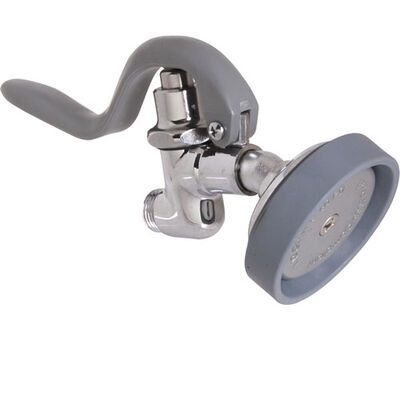 T&S Brass 0107-035 LeadFree Angled Spray Valve