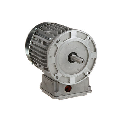 Stero P41-2218 Conveyor Dishwasher Motor-1/4 HP