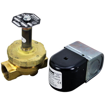 Cleveland 22115 3/4" FPT Vacuum Breaker W/  Brass Cap & Body