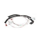 Vulcan Hart 00-498202-00072 Griddle Wiring Harness 972RX