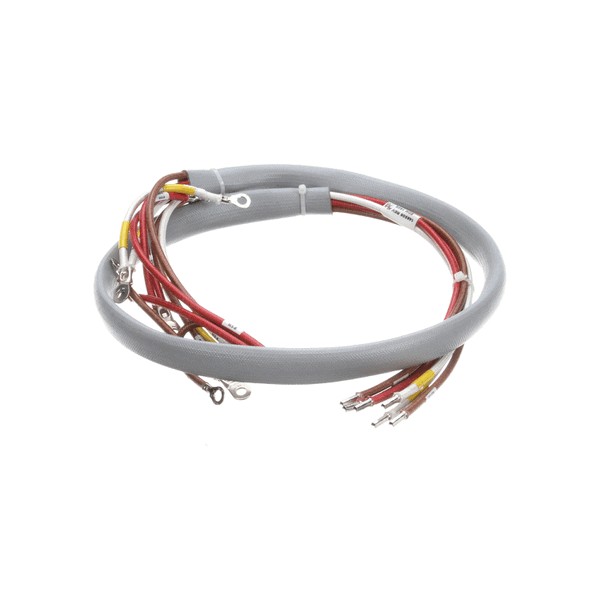 Groen 148506 Kettle Heater Wire Harness EE-40
