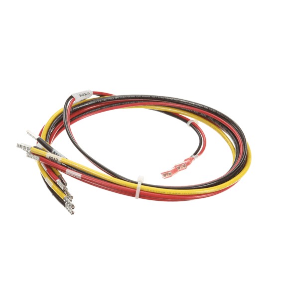Groen 148539 Braising Pan Power Wiring Harness BPM-40E